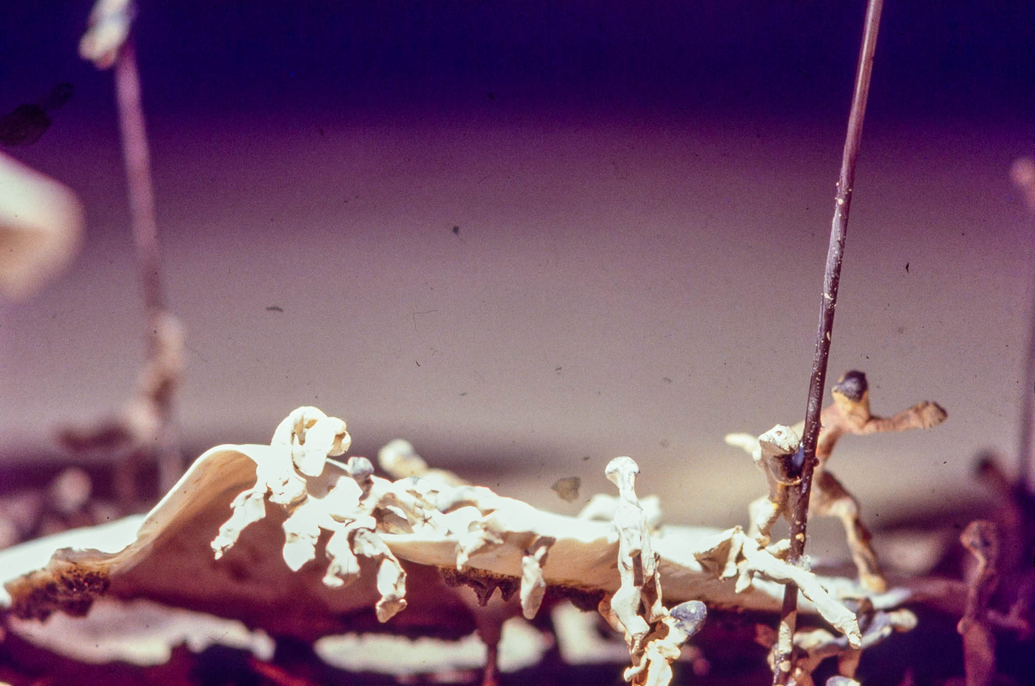 1986-1991_蕭麗虹 Margaret Shiu Tan_作品_浮 Floating_MST-F-03